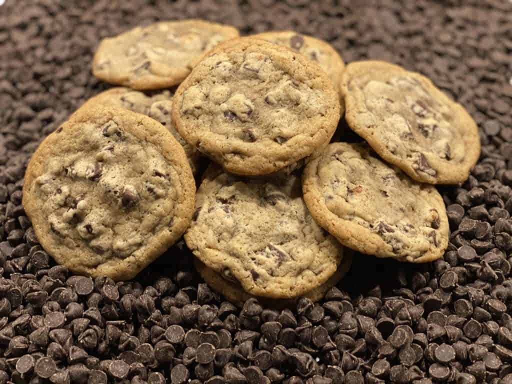 Chocolate Chip Cookie1